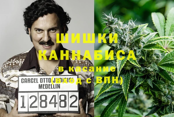 apvp Алексин